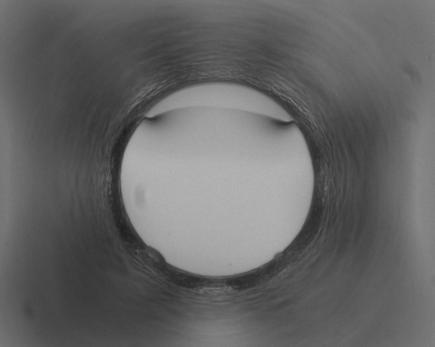 X0000116330595200912291554