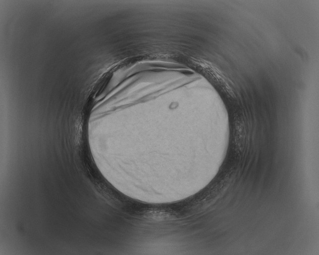 X0000116330596200912291554