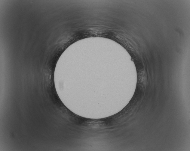 X0000116330615200912291554