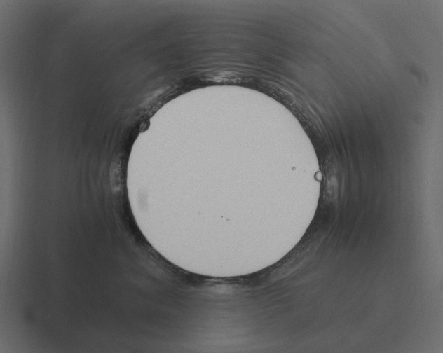 X0000116330620200912291554