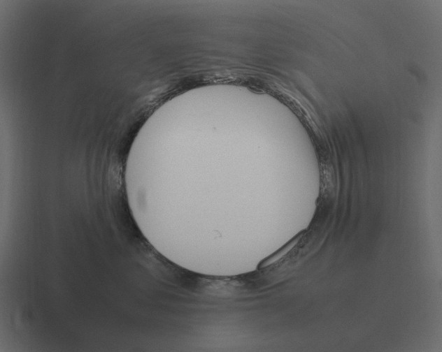 X0000116330621200912291554