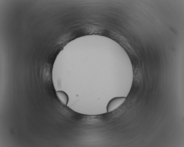 X0000116330622200912291554