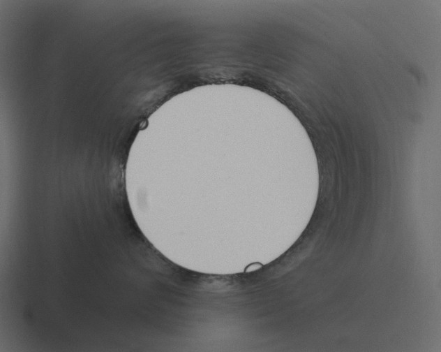 X0000116330624200912291554