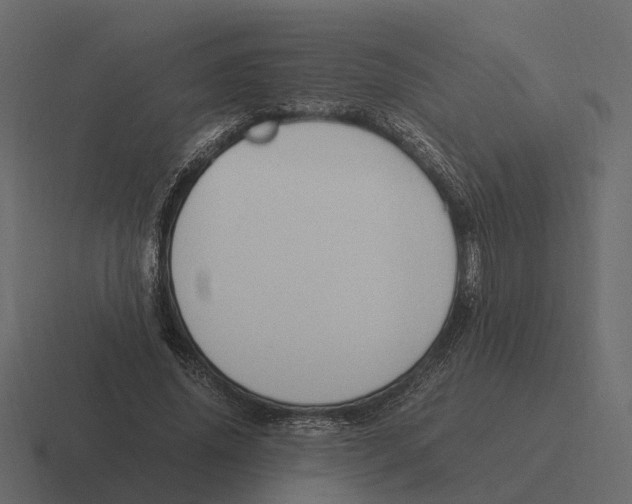 X0000116330636200912291553