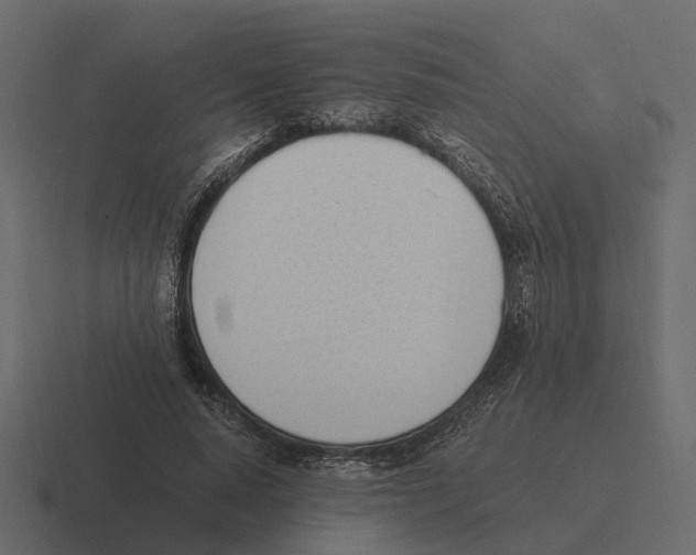 X0000116330640200912291553