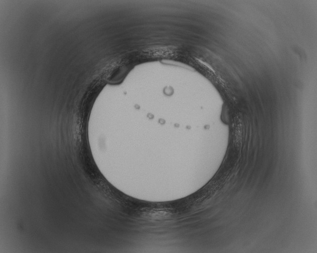 X0000116330643200912291553