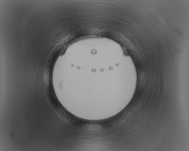 X0000116330644200912291553