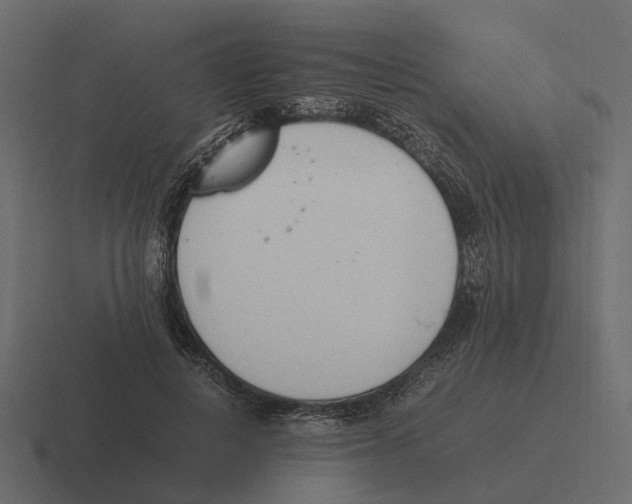 X0000116330648200912291553