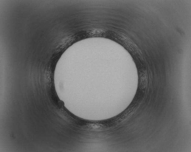 X0000116330654200912291553