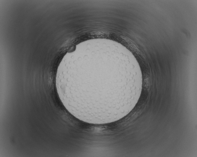 X0000116330662200912291554