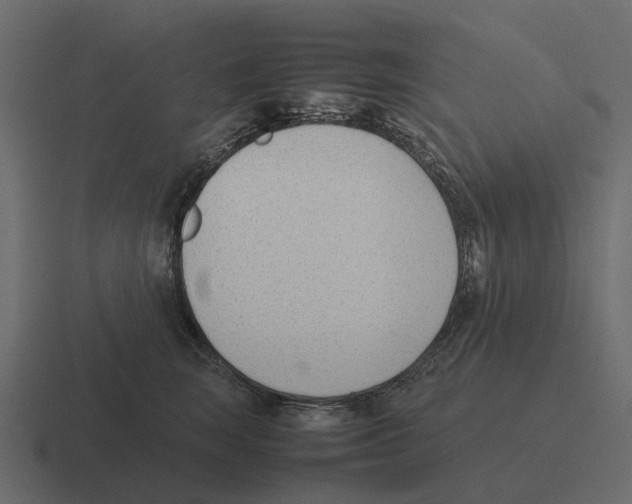 X0000116330663200912291554