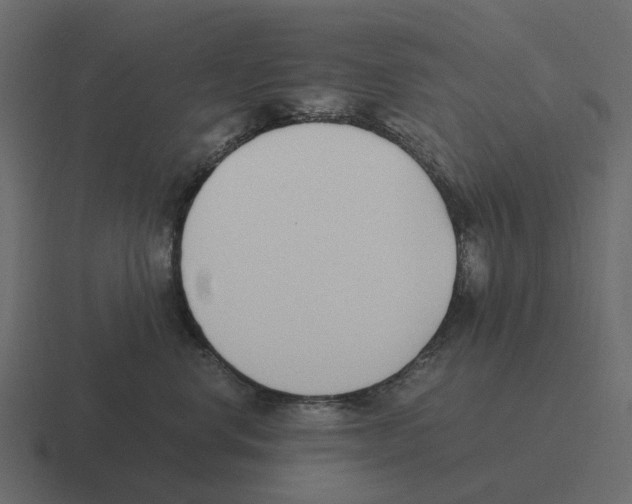 X0000116330668200912291554