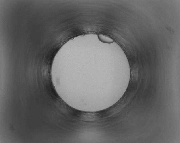 X0000116330671200912291554