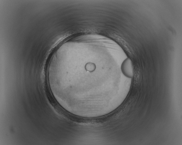 X0000116330674200912291553