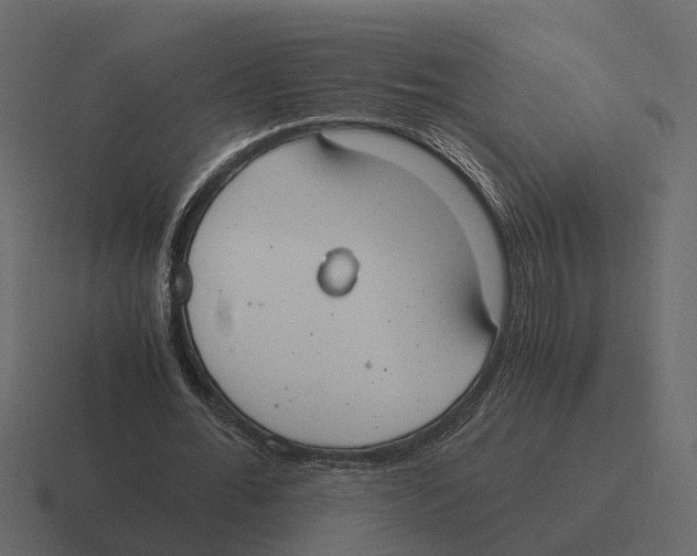 X0000116330676200912291553