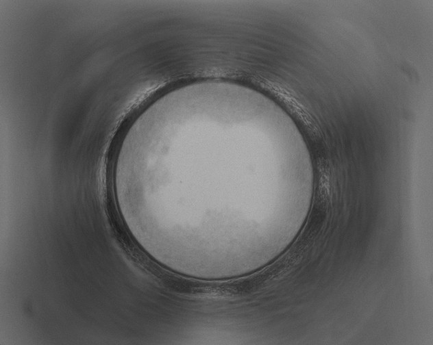 X0000116330678200912291553