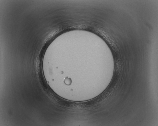 X0000116330679200912291553