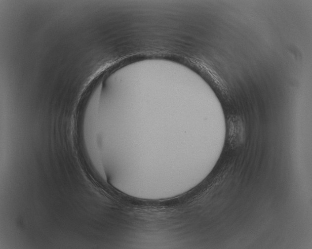 X0000116330684200912291553