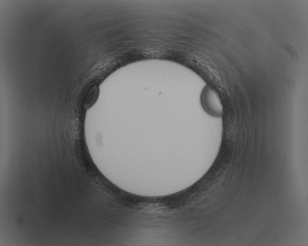 X0000116330689200912291553