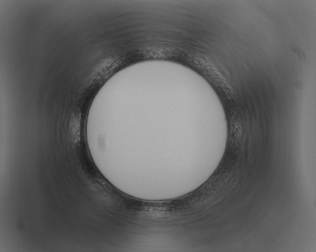 X0000116330694200912291553