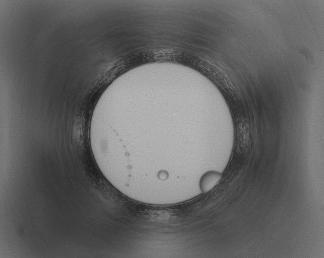 X0000116330698200912291553