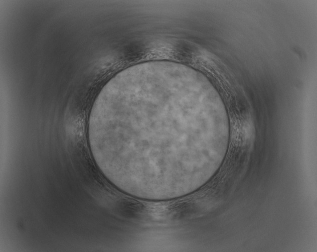 X0000116330701200912291553