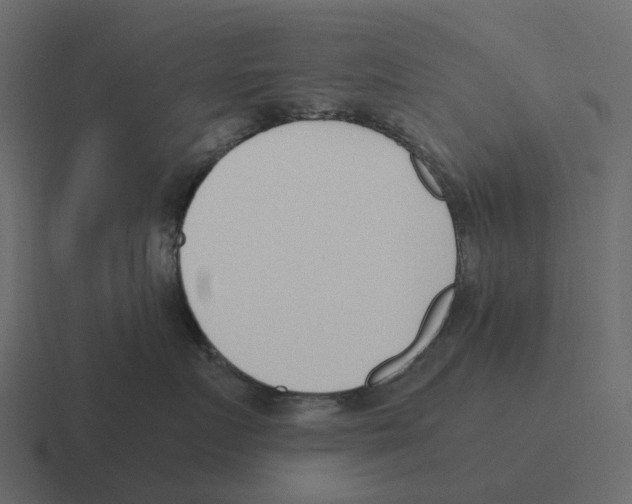 X0000116330719200912291553