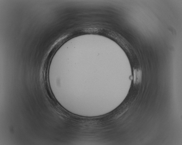X0000116330723200912291552