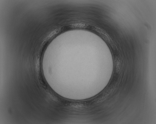 X0000116330729200912291552