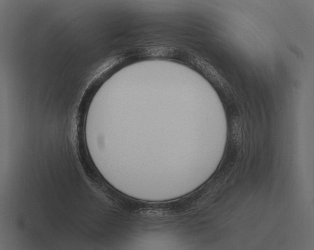 X0000116330730200912291552