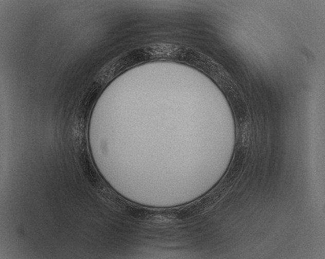 X0000116330737200912291552