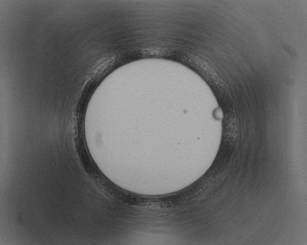 X0000116330738200912291552