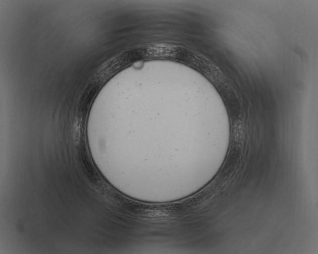 X0000116330741200912291552