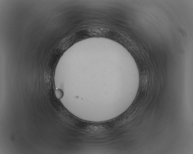 X0000116330749200912291552