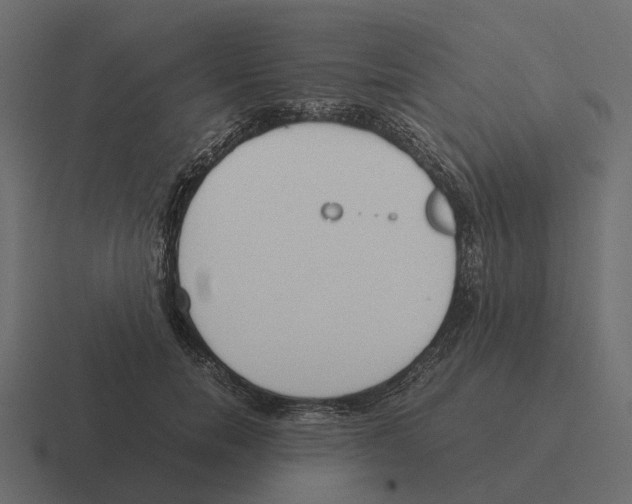 X0000116330750200912291552