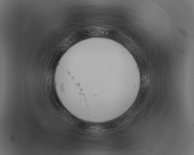 X0000116330753200912291552