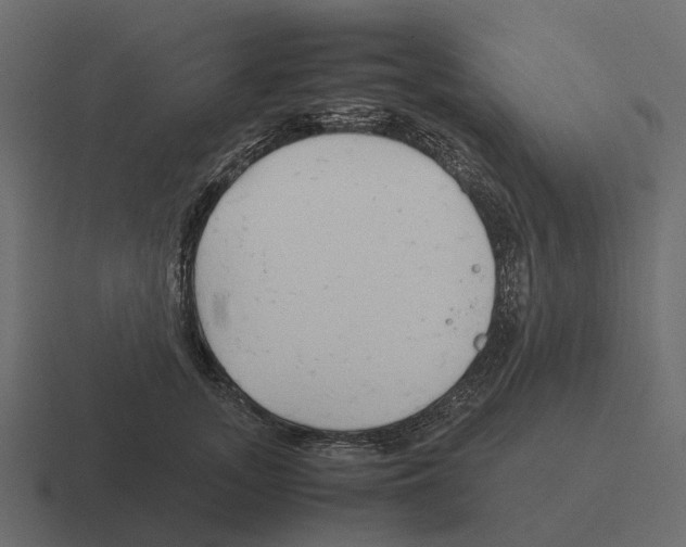 X0000116330755200912291552