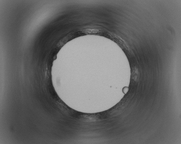 X0000116330763200912291552