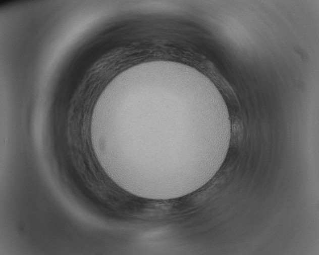 X0000116330765200912291552