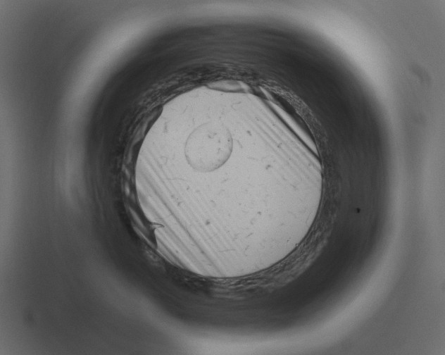 X0000116330766200912291552