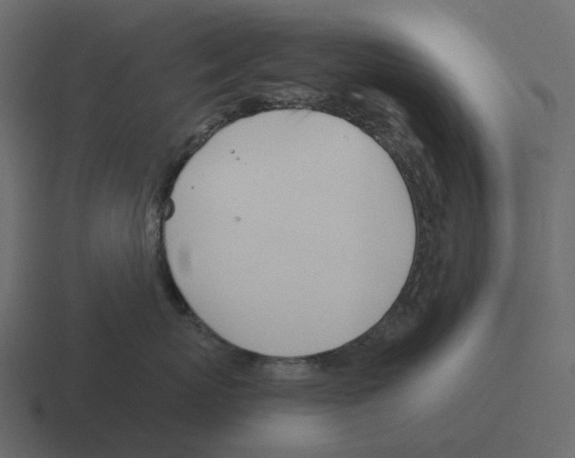 X0000116330767200912291552