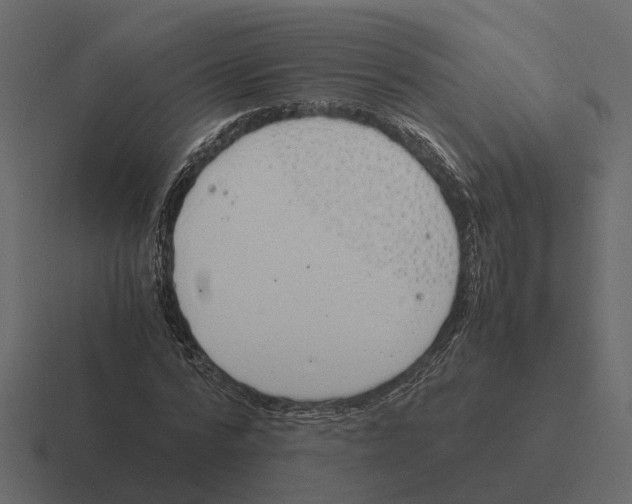 X0000116330776200912291552