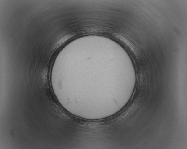 X0000116330778200912291552