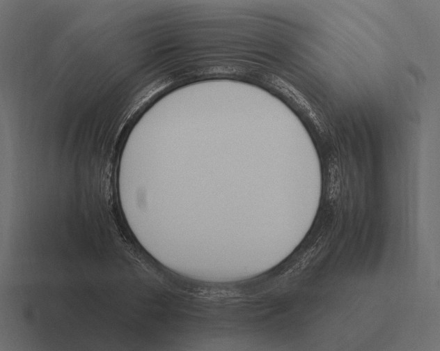 X0000116330786200912291552