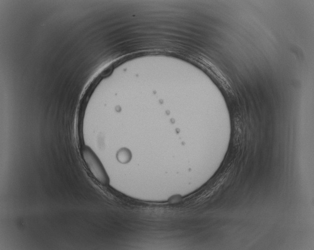 X0000116330788200912291552