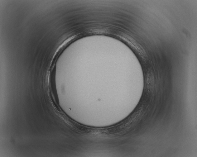 X0000116330790200912291552