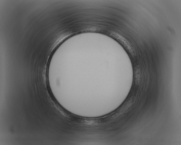 X0000116330794200912291552
