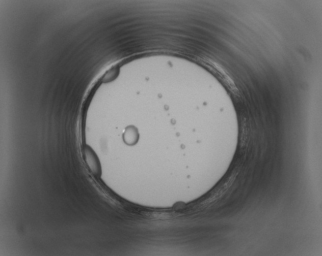 X0000116330796200912291552