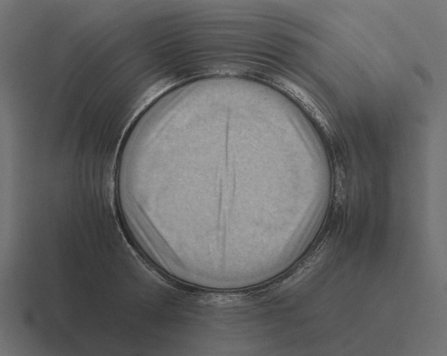 X0000116330802200912291551