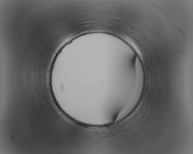 X0000116330805200912291551